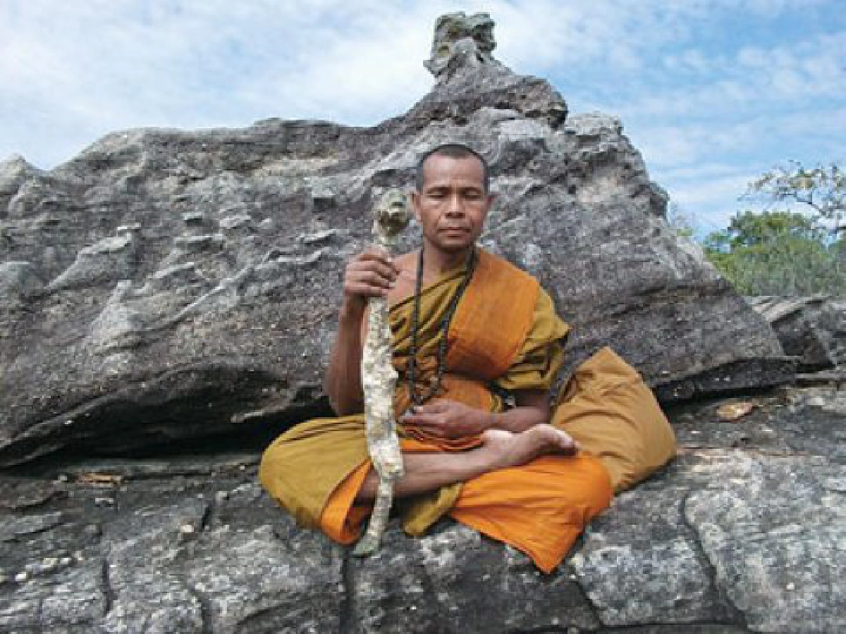 ร่วมบุญผ้าป่าวัดบ้านโนนสาย
ร่วมบุญผ้าป่าวัดบ้านโนนสาย