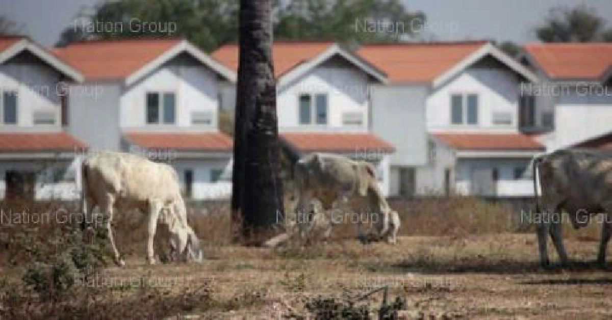 จีนทุ่ม6ล้านล้านสร้างบ้านเอื้ออาทร