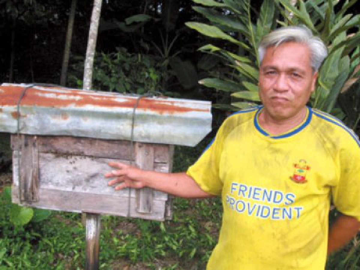 เลี้ยง"ผึ้งหลวง"ในสวนยางพารา
เสริมรายได้ชาวบ้านคลองเคียน

