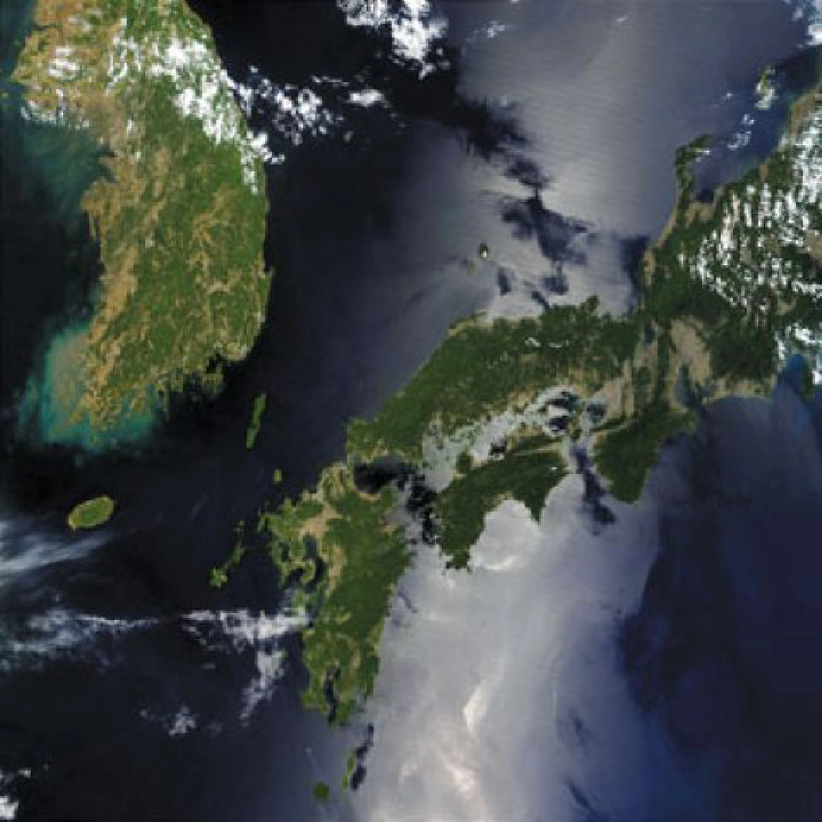  แผ่นดินไหวทำให้เราใกล้ชิดกันมากขึ้น