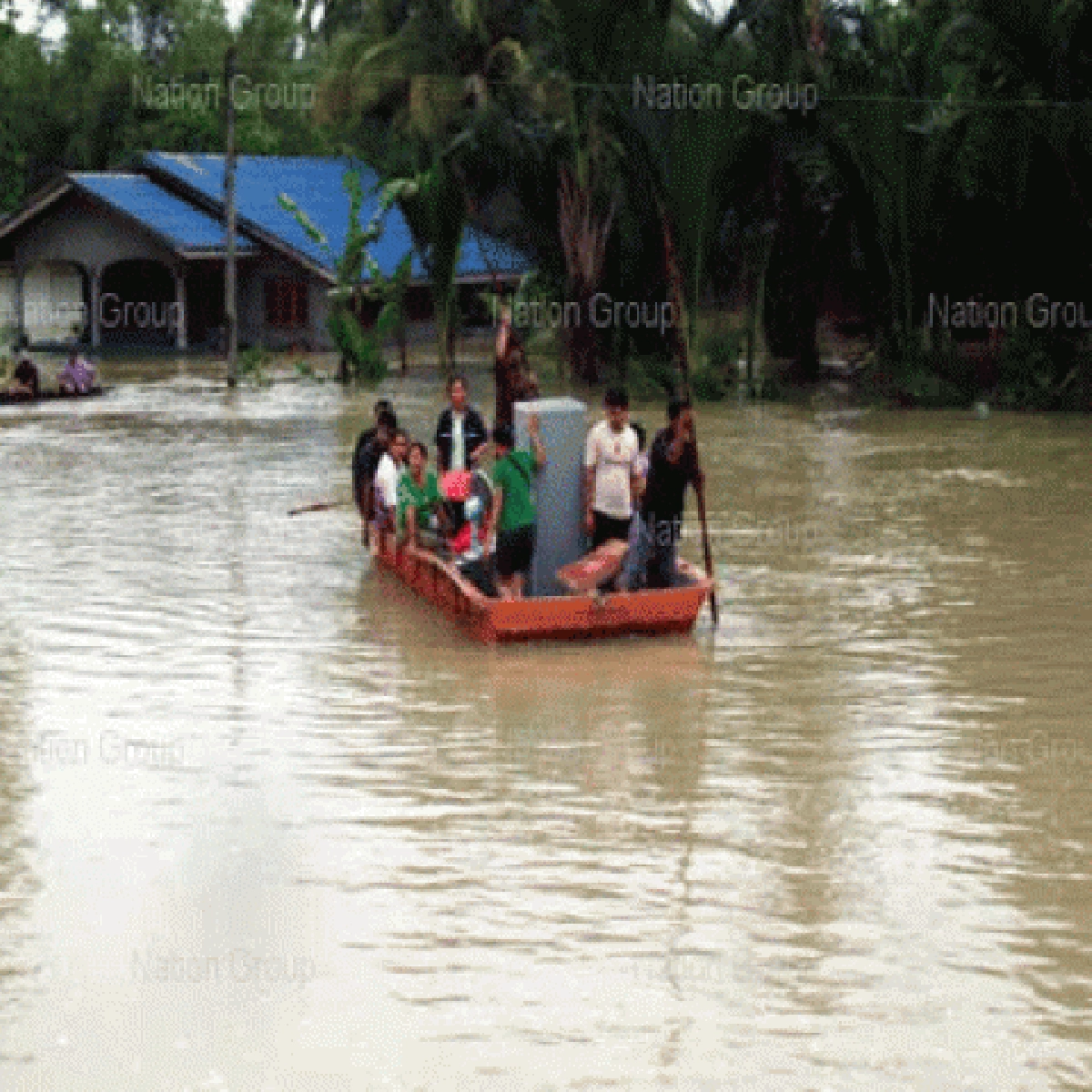 จระเข้เมืองคอนหิวบุกกินแพะ2ตัวรวด จระเข้เมืองคอนหิวบุกกินแพะ2ตัวรวด