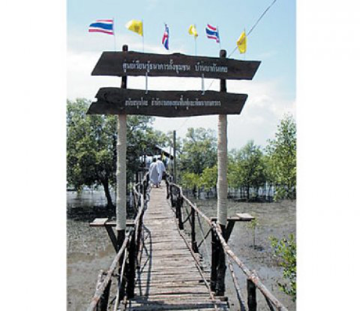 ธนาคารกั้ง"สร้างรายได้ชุมชน
ธนาคารกั้ง"สร้างรายได้ชุมชน