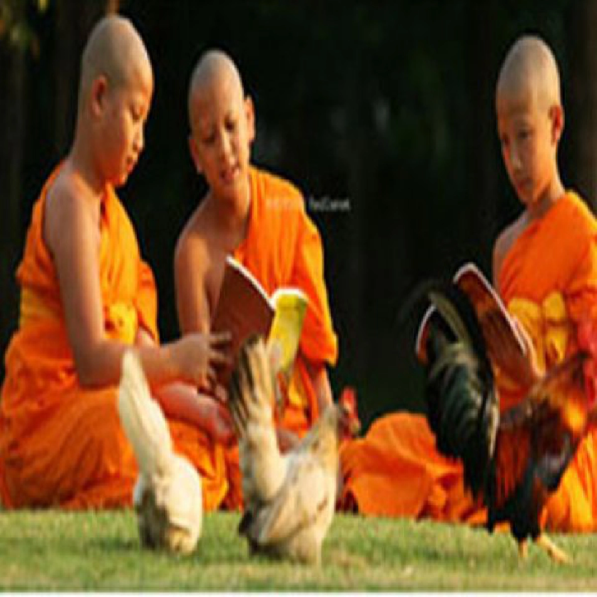 พระเทพฯทรงห่วงเณรอ่านเขียนบาลีไม่ได้