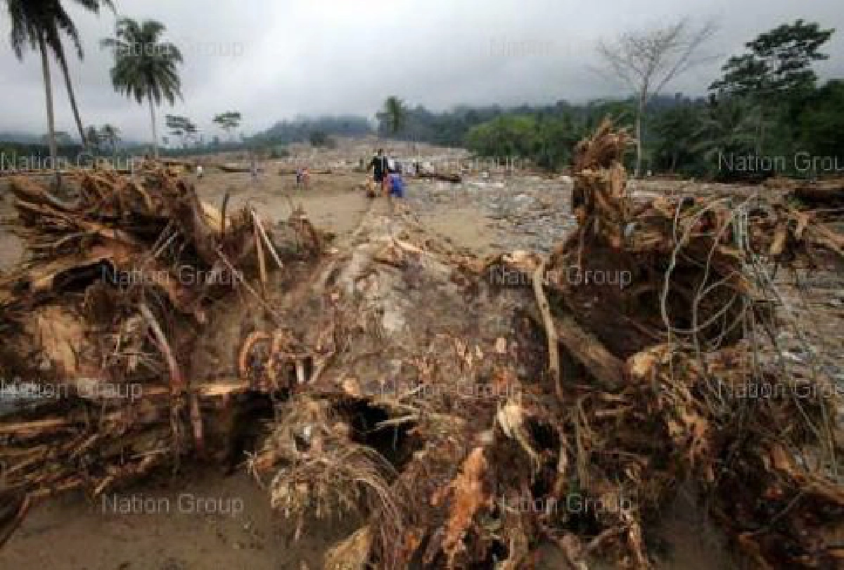 ตระกูลทองเนียมเหยื่อดินถล่มตายอีก1ศพ ตระกูลทองเนียมเหยื่อดินถล่มตายอีก1ศพ