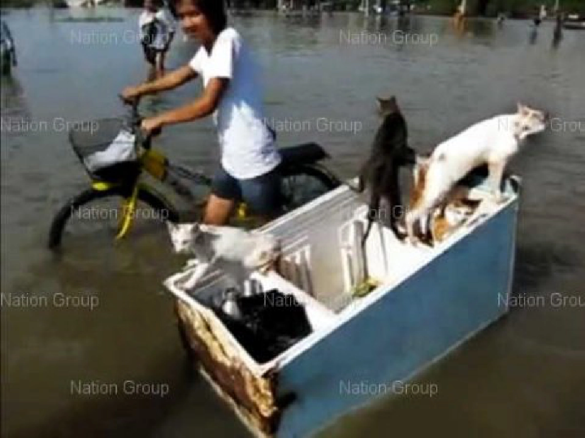 ถามหาเงินช่วยเหลือก้อนแรก ถามหาเงินช่วยเหลือก้อนแรก