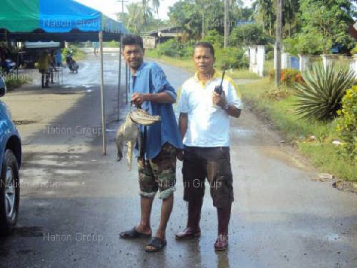 จระเข้ลุ่มน้ำปากพนังไล่งับชาวบ้านเจ็บ
