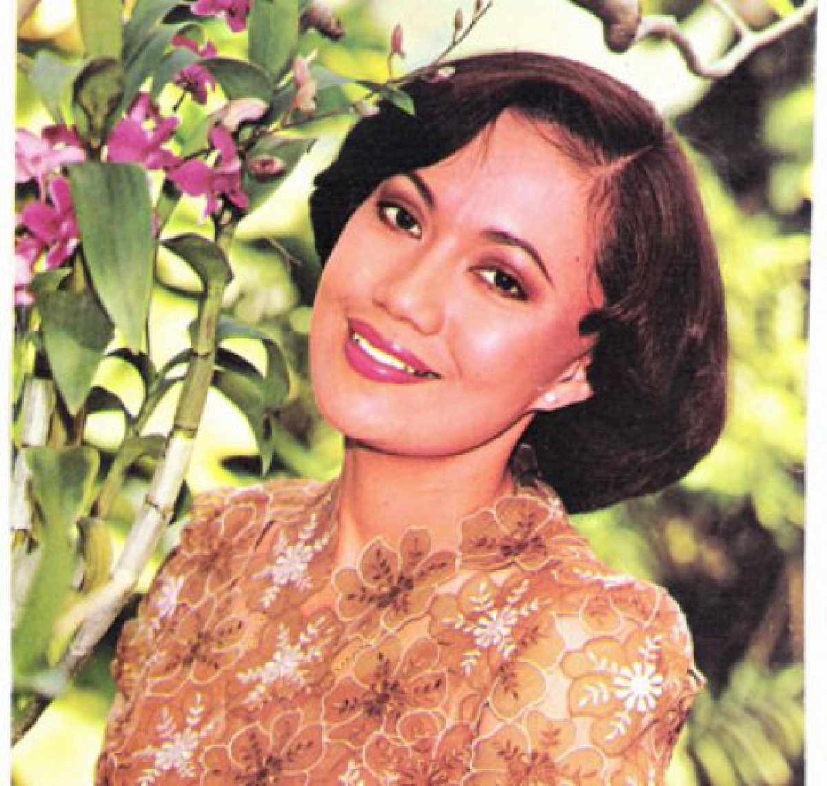 5 ทศวรรษ 'มี้' พิศมัย
ผู้สูงวัยอันล้ำค่าของวงการบันเทิง