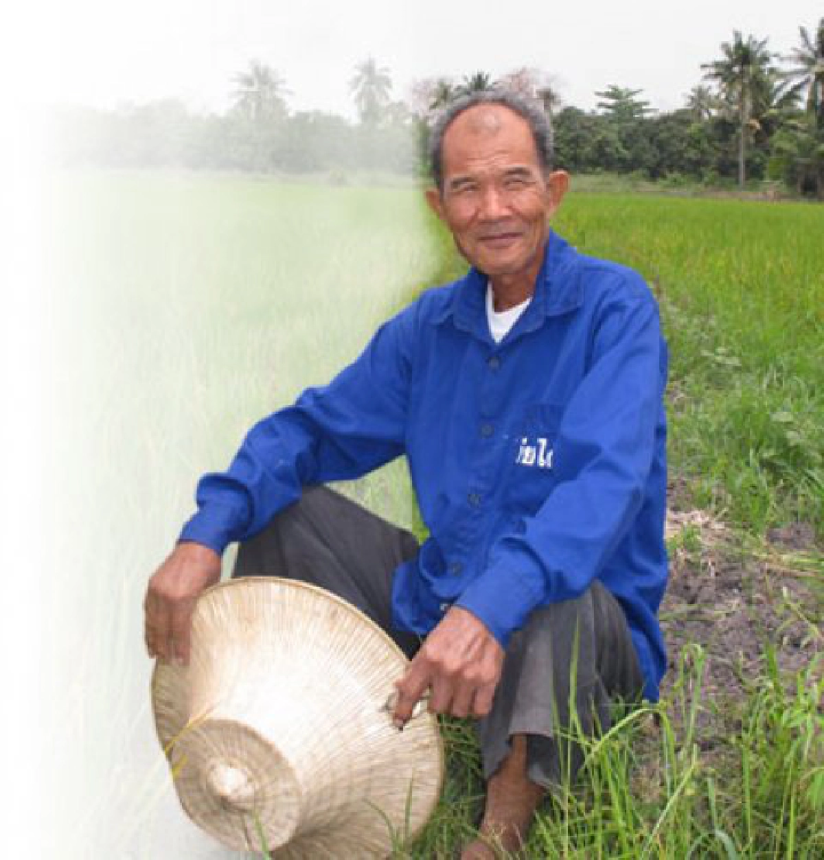 ทำนาต้นทุนต่ำฉบับลุงทวี
ทำนาต้นทุนต่ำฉบับลุงทวี
