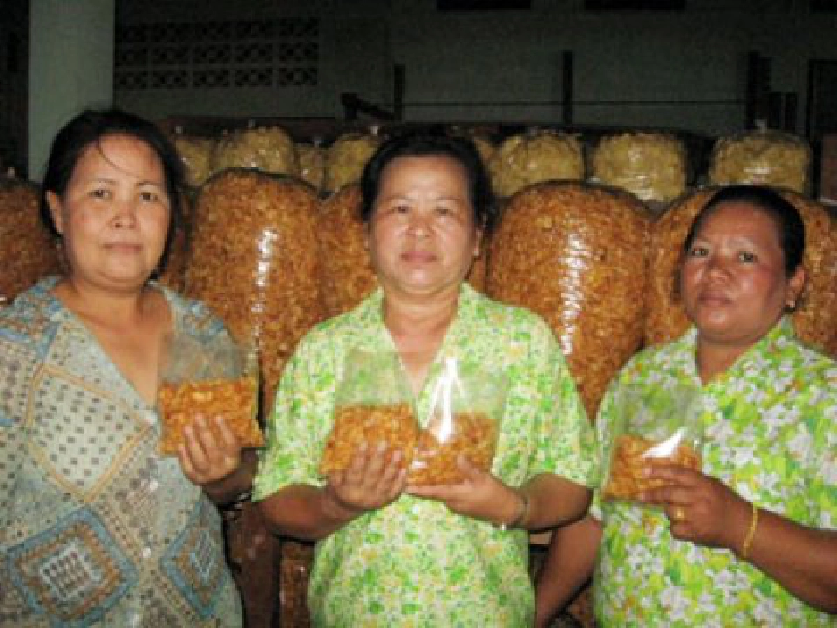 "หอมเจียว" ฝีมือกลุ่มแม่บ้านวัดไทร
ผลิตภัณฑ์คุณภาพส่งขายต่างแดน
"หอมเจียว" ฝีมือกลุ่มแม่บ้านวัดไทร
ผลิตภัณฑ์คุณภาพส่งขายต่างแดน