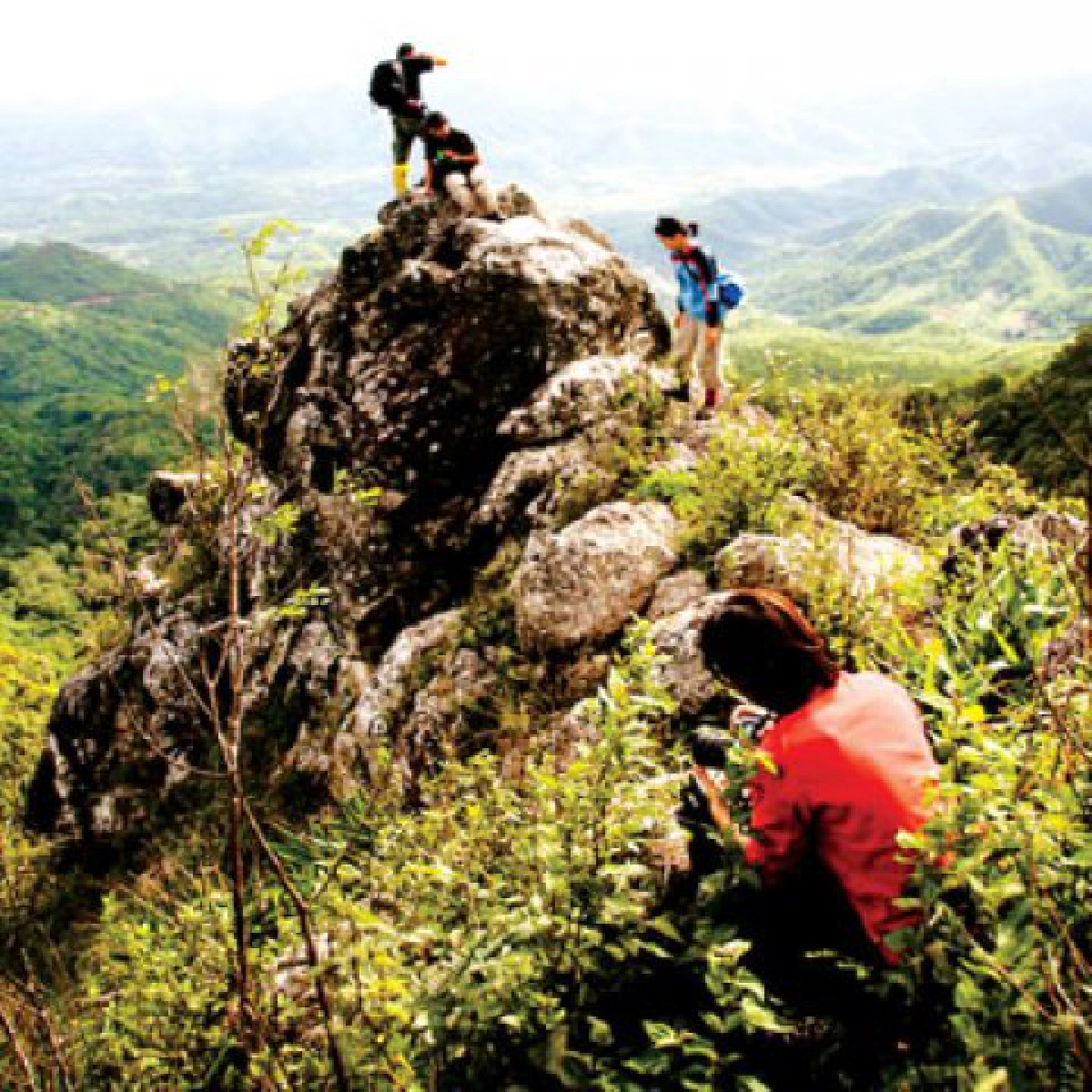 เกี่ยวหมอกเก็บดาวที่เขากระโจม-เขาแหลม 