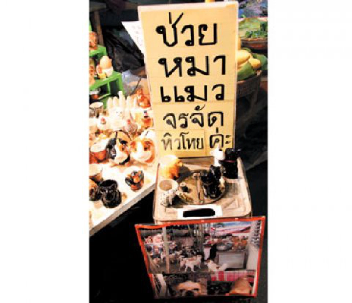 ขอสิทธิ 1 พันชื่อไม่รับเงินยังชีพ  ตั้งกองทุนช่วย (สว)
