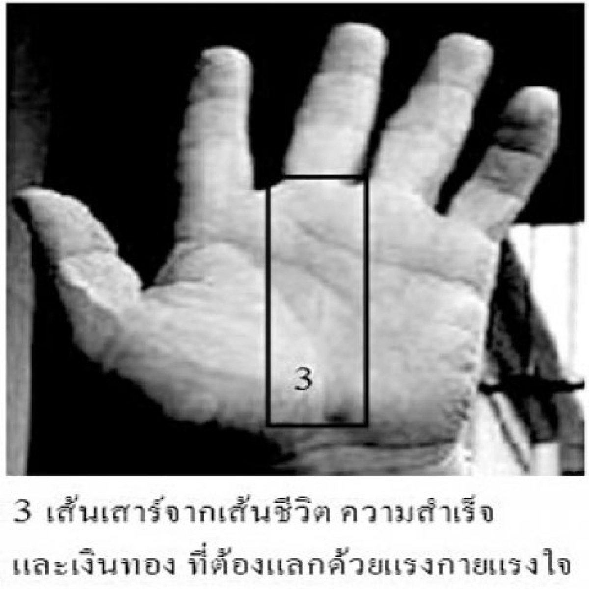กว่าจะมาเป็น"เฉินหลง" กว่าจะมาเป็น"เฉินหลง"
