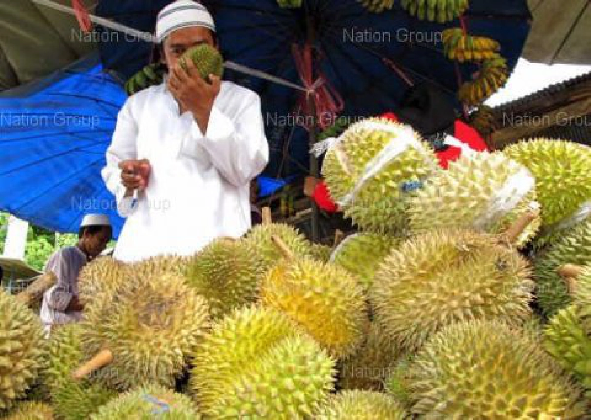 มาเลย์เปิดศึกไทยชิงตลาดทุเรียนในจีน มาเลย์เปิดศึกไทยชิงตลาดทุเรียนในจีน