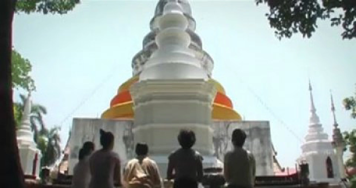 รากเรา
รากเรา