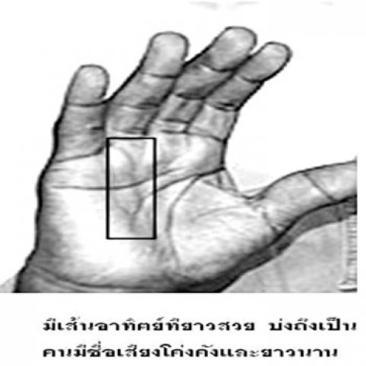 เปเล่ราชาฟุตบอลระดับโลก เปเล่ราชาฟุตบอลระดับโลก