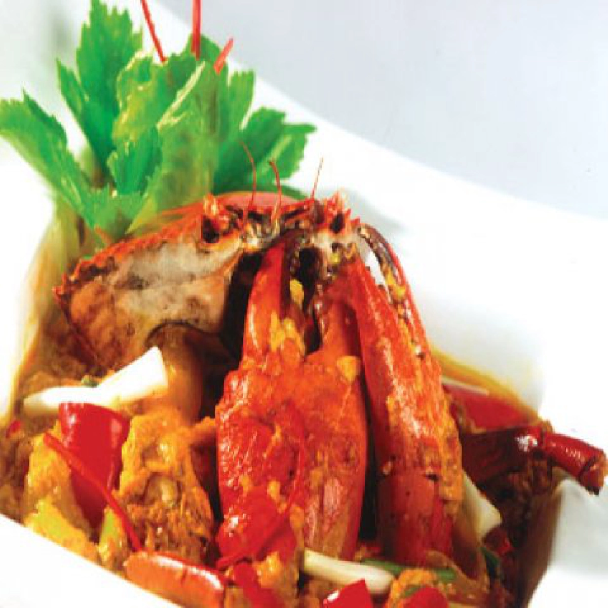 Food Promotionประจำวันที่12มิ.ย.54 Food Promotionประจำวันที่12มิ.ย.54