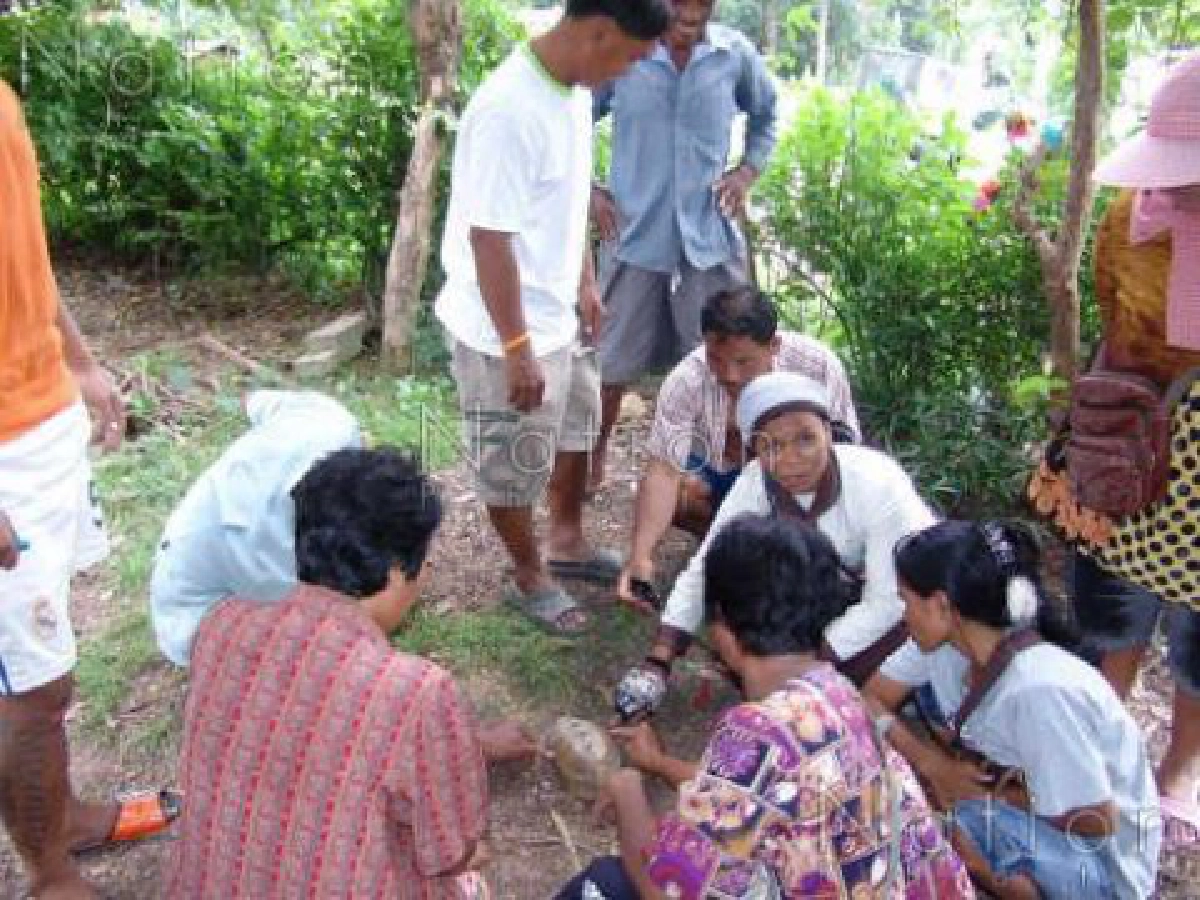 ตื่น 'เต่าสีทอง' กระดองพระสมเด็จ ตื่น 'เต่าสีทอง' กระดองพระสมเด็จ