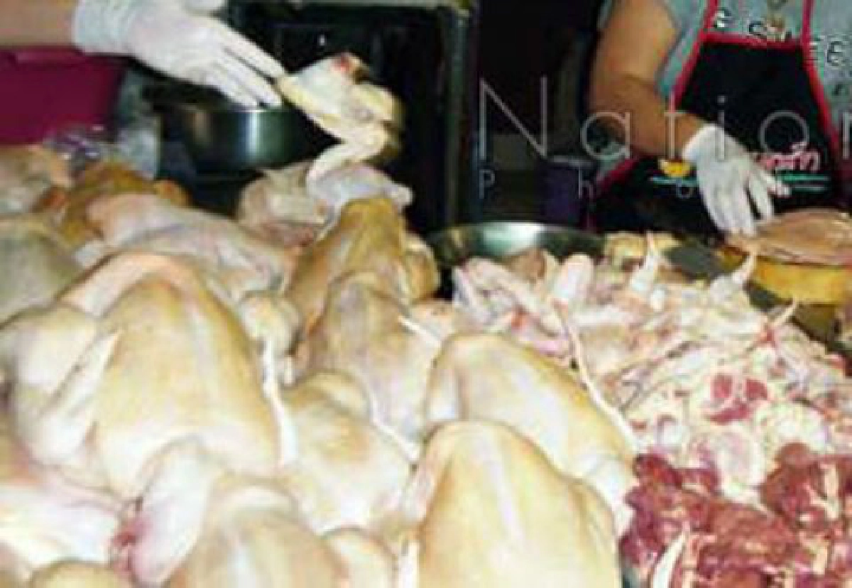 วอนประชาชนอย่าตื่นโรงชำแหละไก่เถื่อน

