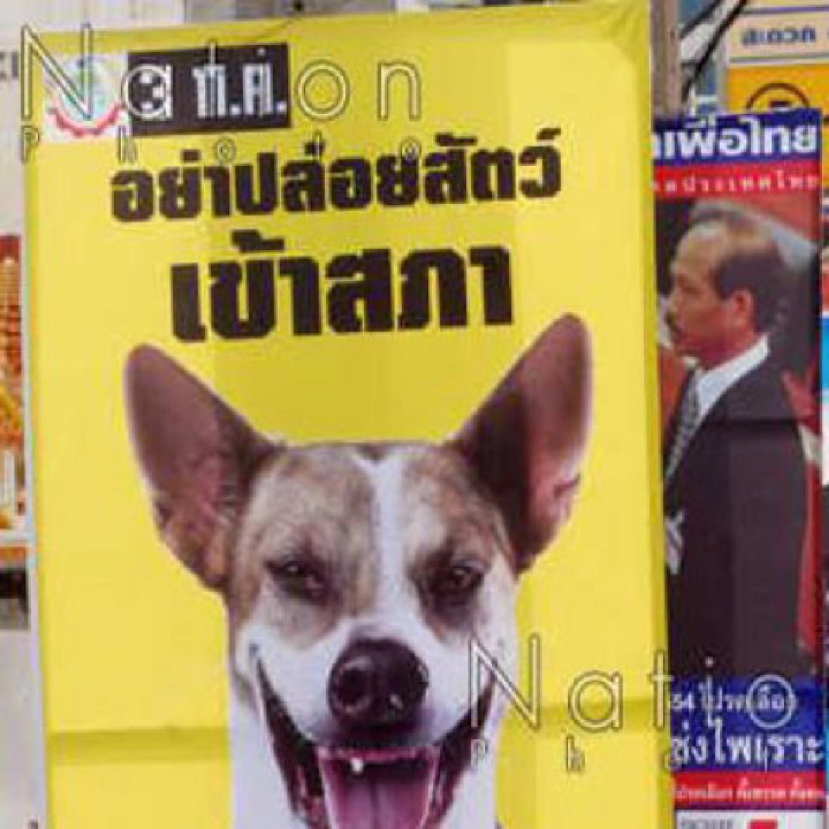 "ป้ายหาเสียง"เสี่ยงอุบัติเหตุ88สน.เร่งสำรวจ-รื้อถอน