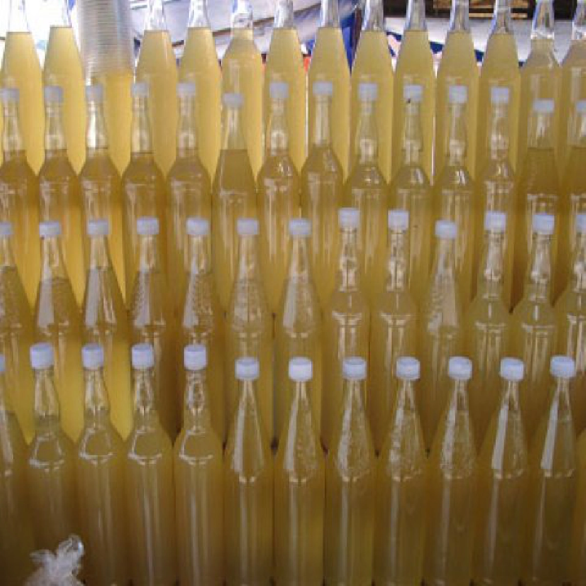 เมืองเพชร"เมืองตาลโตนดเพิ่มมูลค่าผ่านแนวคิดเศรษฐกิจสร้างสรรค์