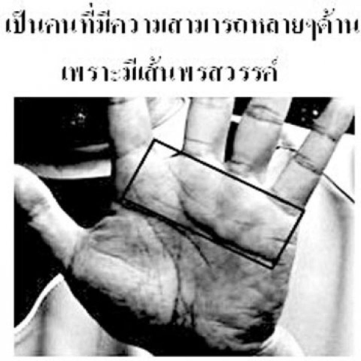 เส้นทางนายกฯอภิสิทธิ์ เวชชาชีวะ เส้นทางนายกฯอภิสิทธิ์ เวชชาชีวะ
