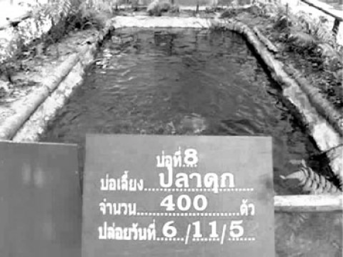 เรือนชั่วคราวเหรียงห้อง
ใช้พื้นที่ทำเศรษฐกิจพอเพียง

