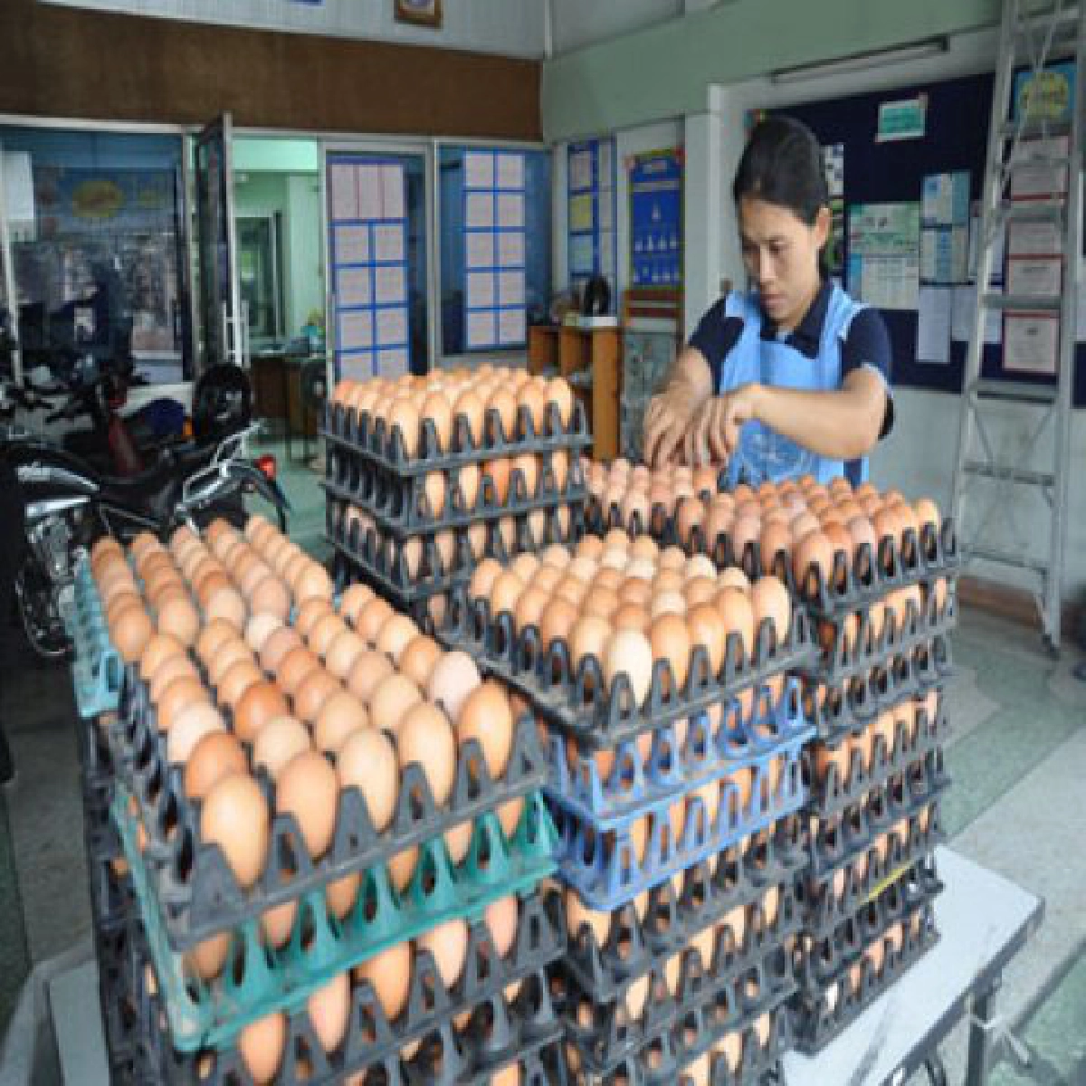 เศรษฐกิจอย่าคิดง่าย(เกินไป) เศรษฐกิจอย่าคิดง่าย(เกินไป)