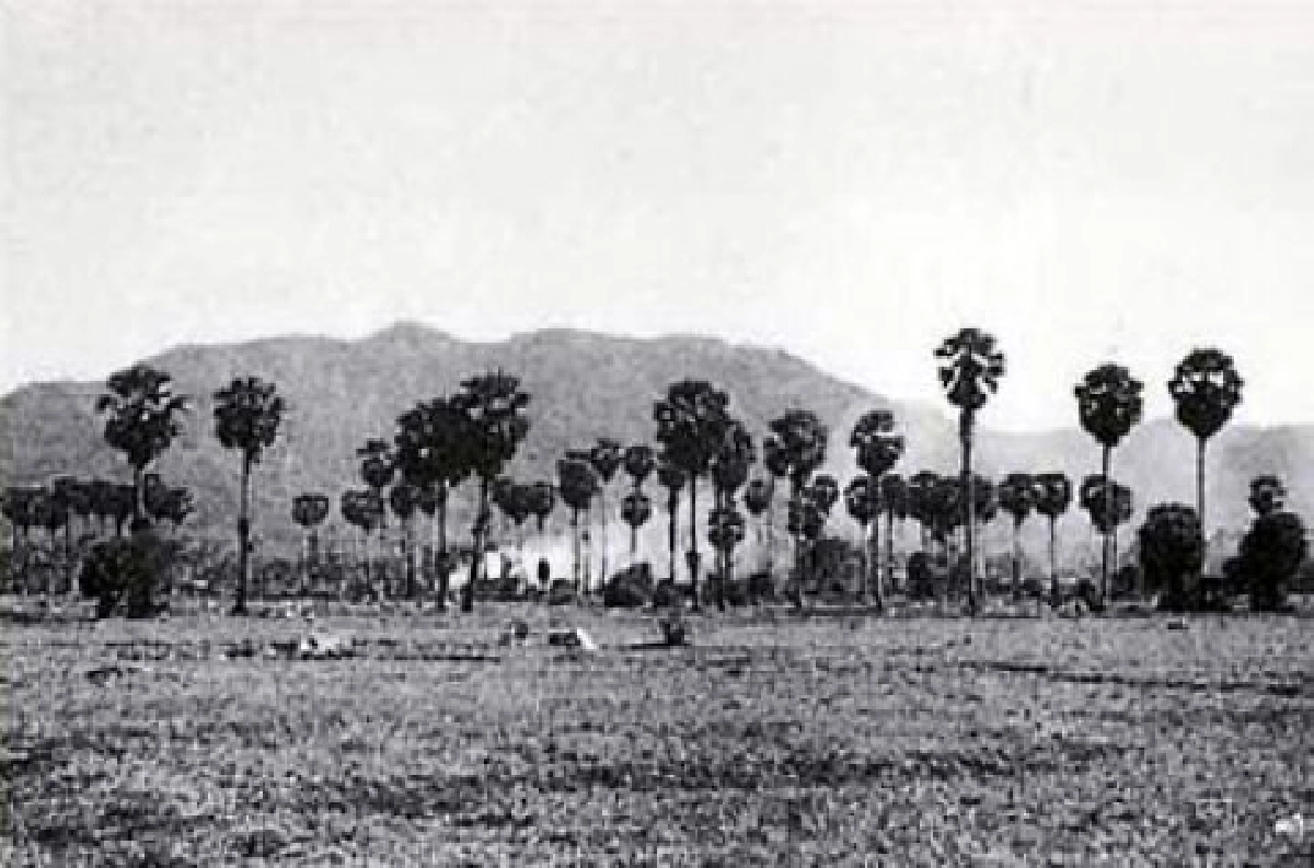 ภูเก็ต คือ เมืองผลึก
ในพระอภัยมณีของสุนทรภู่
ภูเก็ต คือ เมืองผลึก
ในพระอภัยมณีของสุนทรภู่