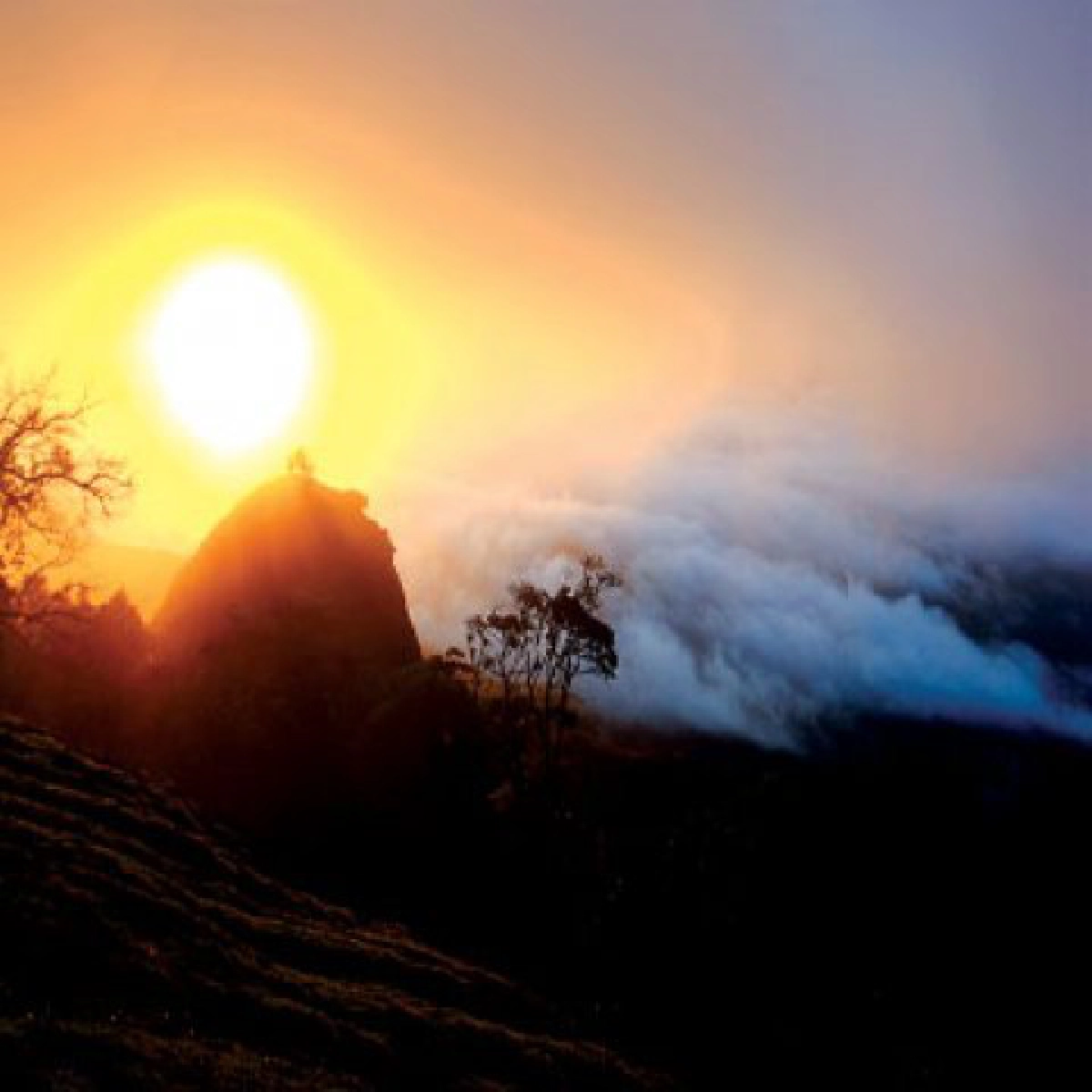 ธรรมชาติป่าฝนทะเลหมอกที่ยอดหินกูบ