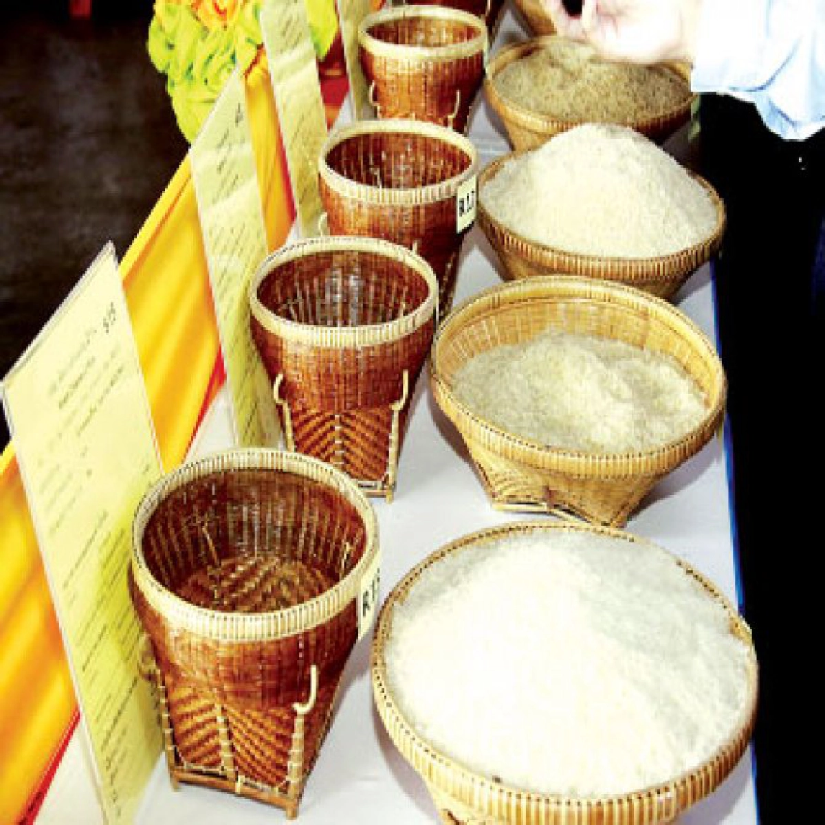 ผุดตลาดกลางค้าข้าวสารสร้างอำนาจต่อรองให้โรงสี-ชาวนา
