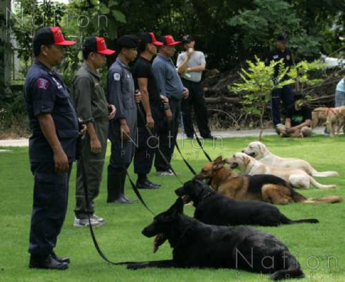 เฟ้น"มะหมา"ติวเข้มภารกิจตรวจค้นยาเสพติด เฟ้น"มะหมา"ติวเข้มภารกิจตรวจค้นยาเสพติด