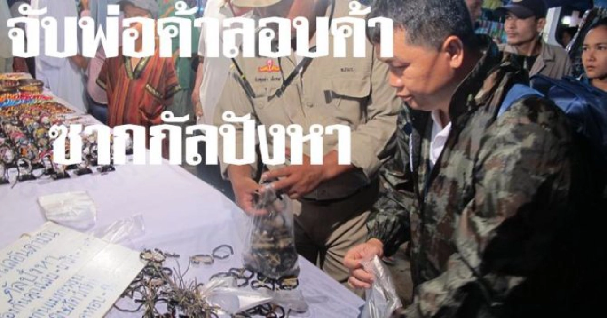 จับพ่อค้าลอบค้าซากกัลปังหา
จับพ่อค้าลอบค้าซากกัลปังหา