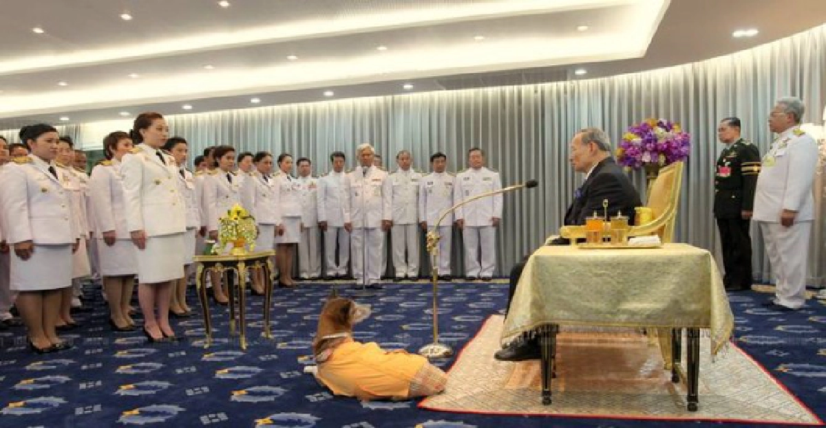 'ในหลวง'มีรับสั่งขจัดความขัดแย้ง 'ในหลวง'มีรับสั่งขจัดความขัดแย้ง