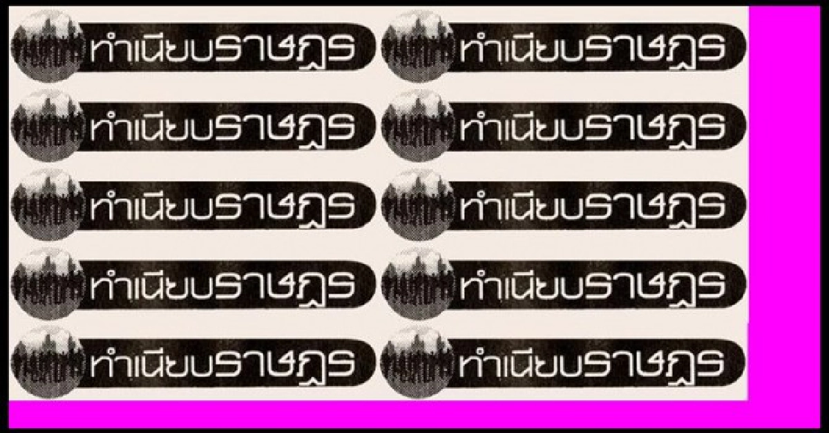 ...คนย้อมแมว...