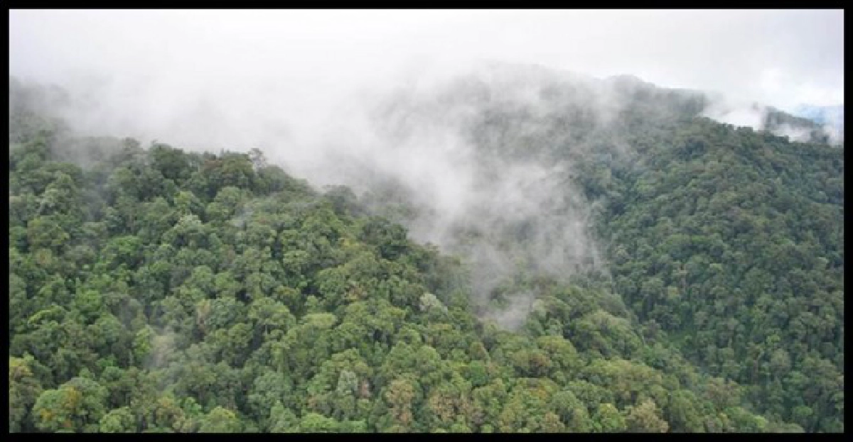 "MICRO BURST"ลมมรณะคว่ำฮ.!?