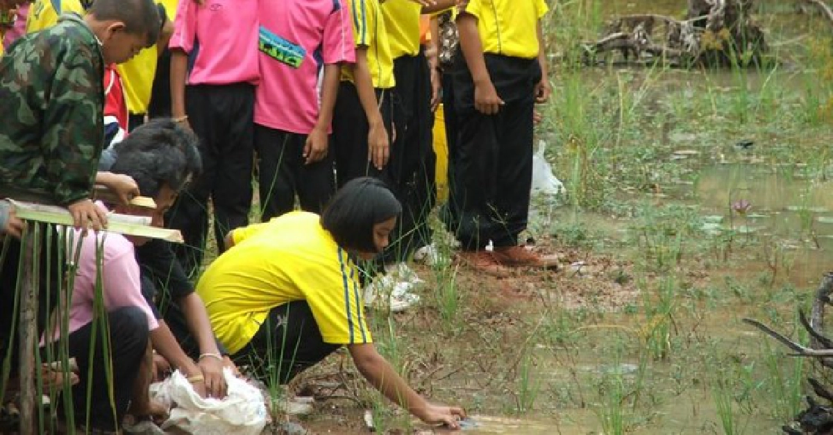 อึ้งจัดแต่งงาน'อึ่ง'หนึ่งเดียวในโลก