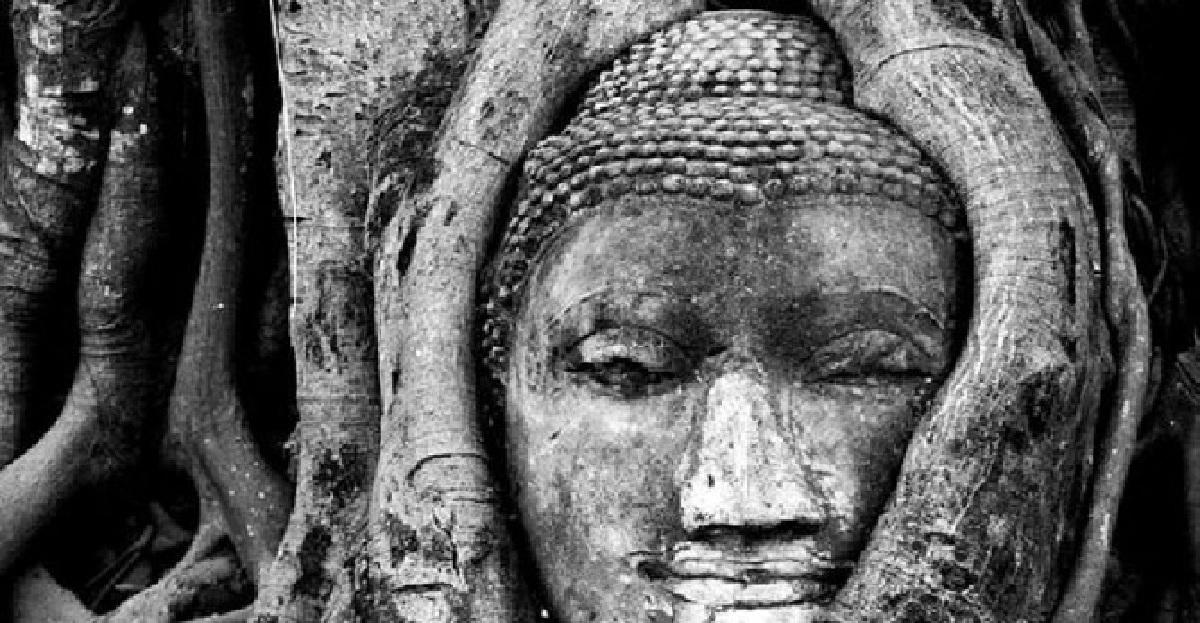 "เศียรพระในรากต้นโพธิ์"ที่อยุธยา 

