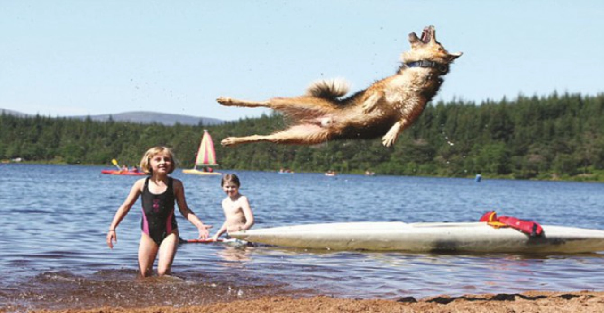 'บลิทเซน'เจ้าลีลากลางอากาศ 'บลิทเซน'เจ้าลีลากลางอากาศ