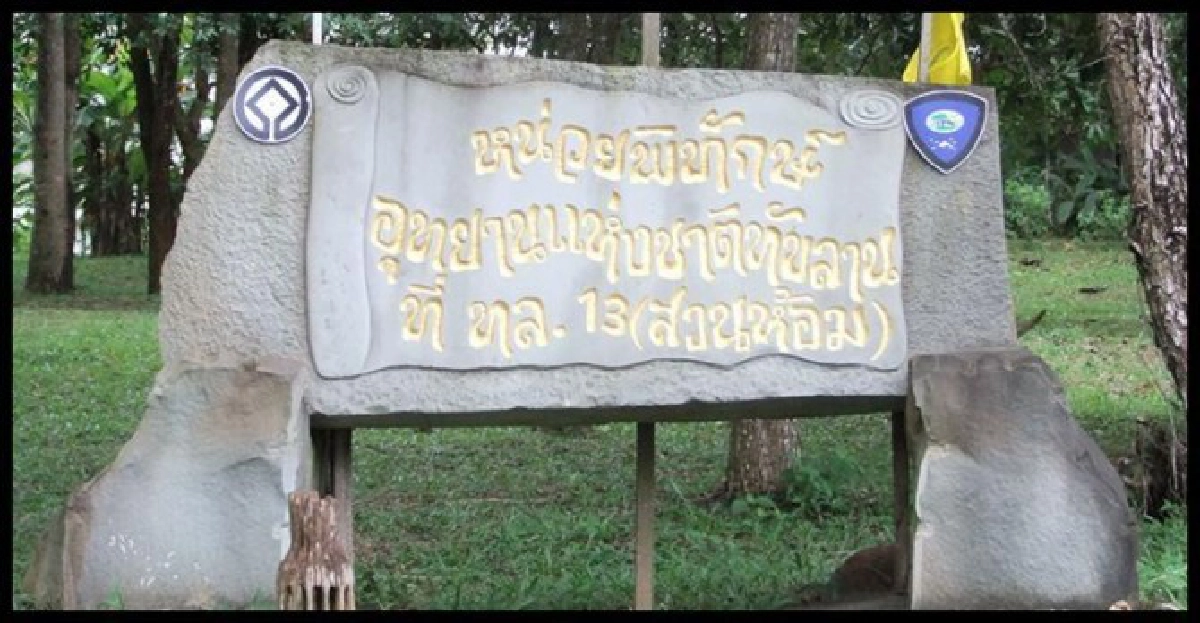 'วังน้ำเขียว'ความจริงของคนพื้นที่ 'วังน้ำเขียว'ความจริงของคนพื้นที่