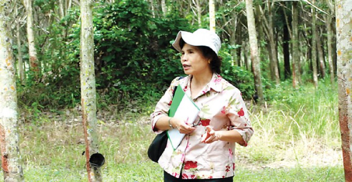 "3 สูตรปุ๋ย"เพื่อเกษตรกรชาวสวนยาง
"3 สูตรปุ๋ย"เพื่อเกษตรกรชาวสวนยาง