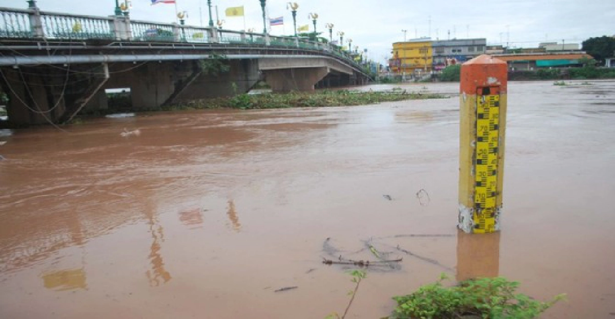 พิษ'นกเตน'สบเมยตาย3สูญหาย4