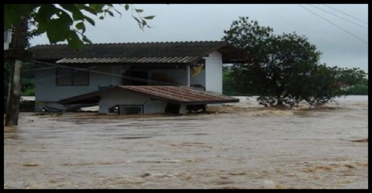 สปิริตนักการเมือง สปิริตนักการเมือง
