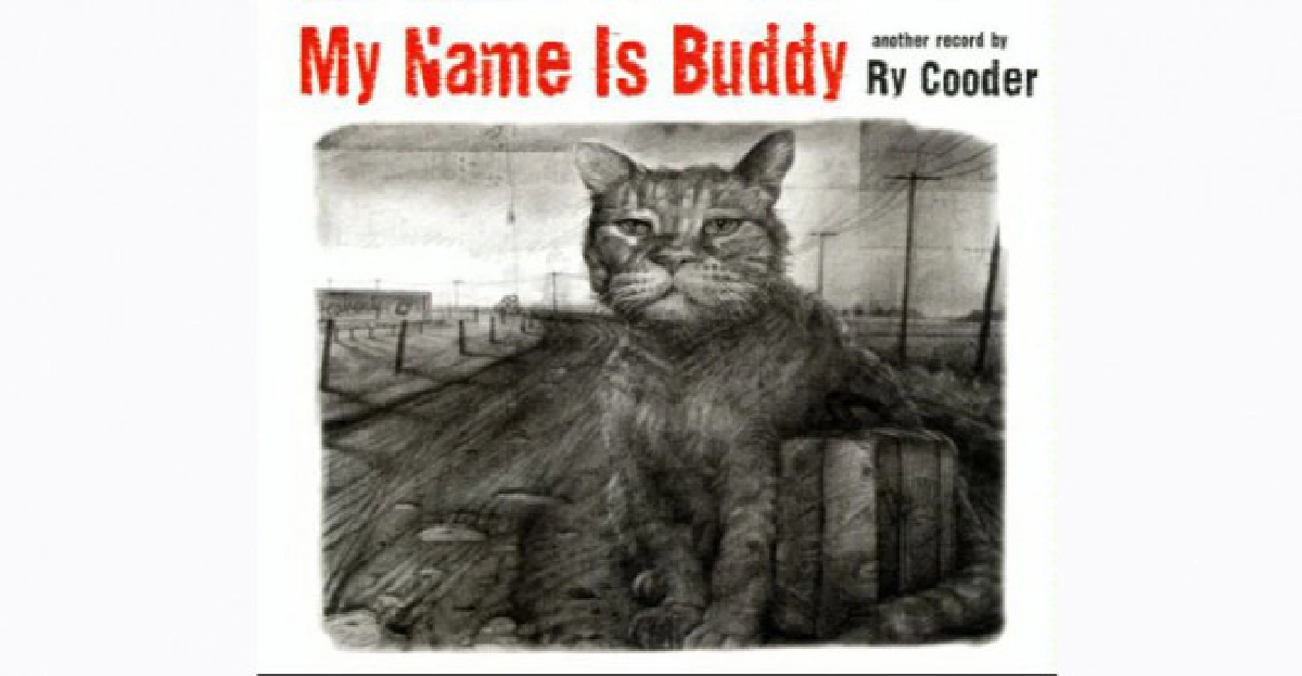 My Name is Buddy
My Name is Buddy
