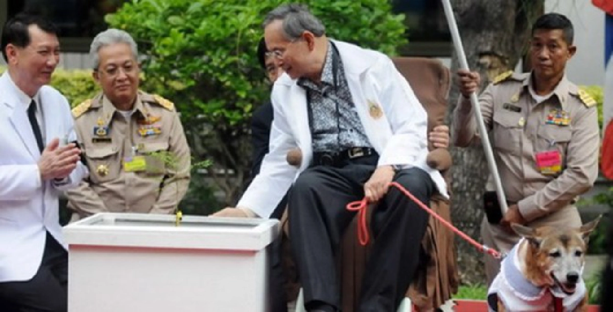 ในหลวงทรงปลูกต้นศรีตรังเป็นสิริมงคลแก่รพ.ศิริราช