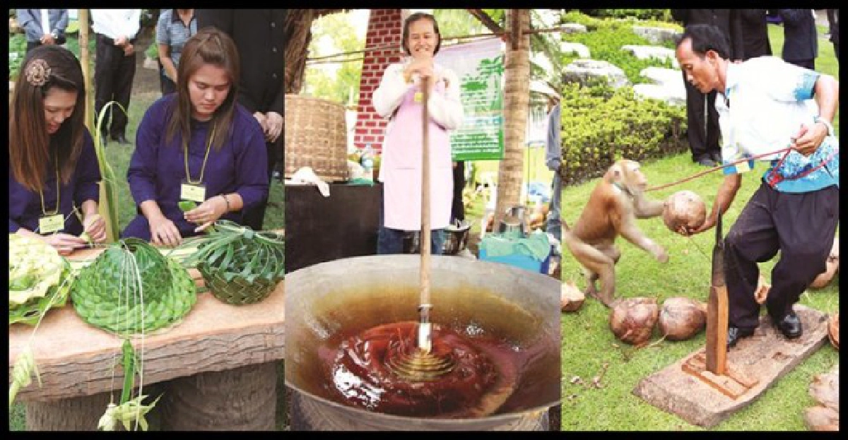 มหัศจรรย์มะพร้าวไทย...กินดีขายได้ มหัศจรรย์มะพร้าวไทย...กินดีขายได้