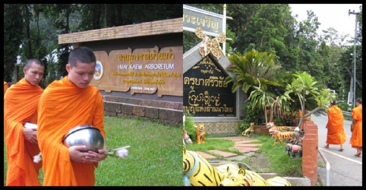 ฟื้นถนนสายบุญ-สายวัฒนธรรม เดินตามรอยนักบุญแห่งล้านนา 