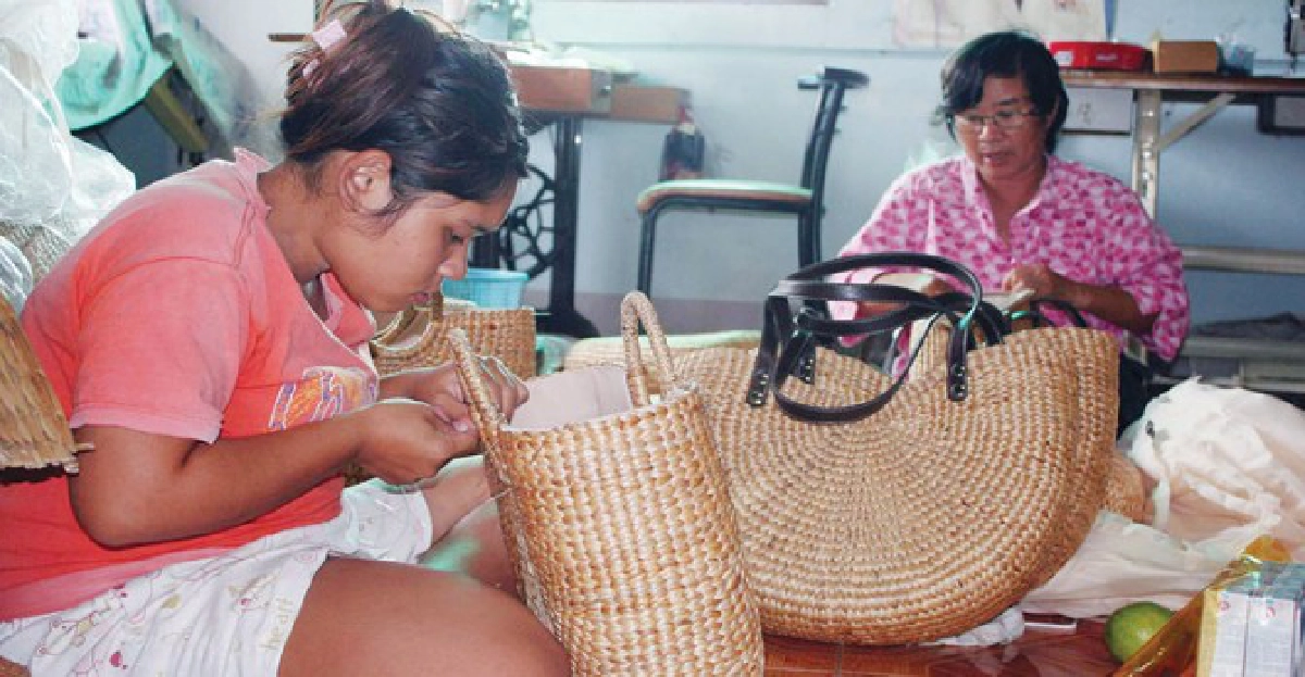 กระเป๋า'ผักตกชวา'โกอินเตอร์