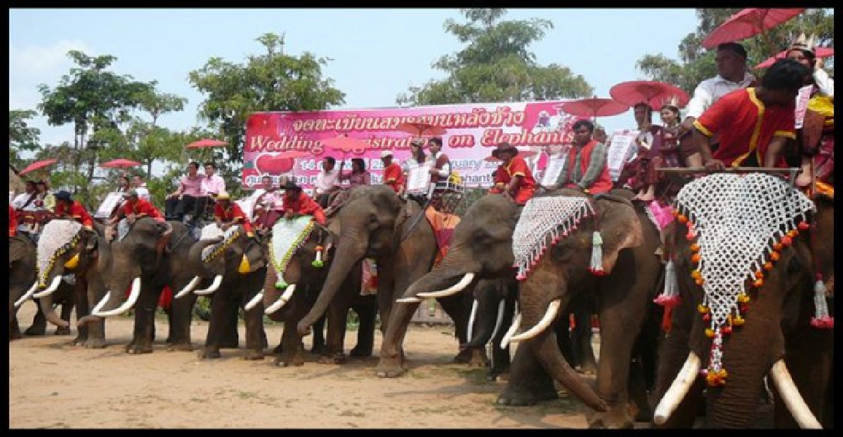 หนัง'ส่วยไม่ลืมชาติ'รอบปฐมทัศน์