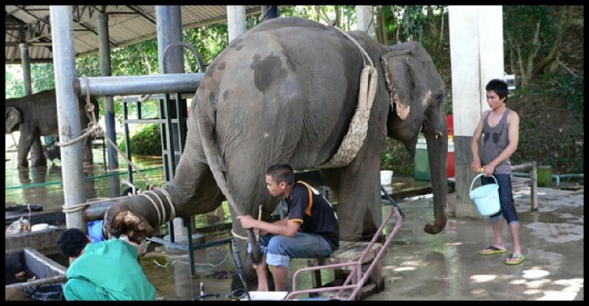 หมอยันใช้เวลาเกือบปีรักษา'พังพรสวรรค์'เหยื่อระเบิด 