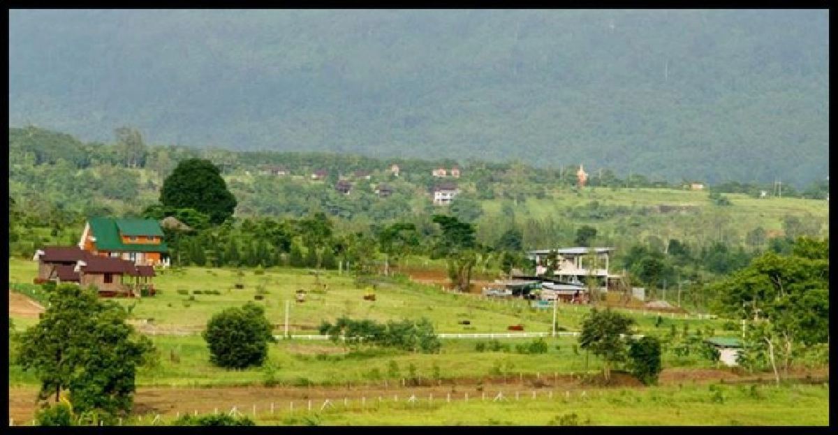 เรียกรีสอร์6แห่งรุกวังน้ำเขียว